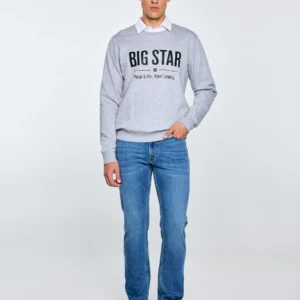 Bluza męska z nadrukiem szara Ecodort 901