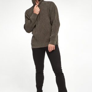 Sweter męski z kapturem EMPORIO ARMANI