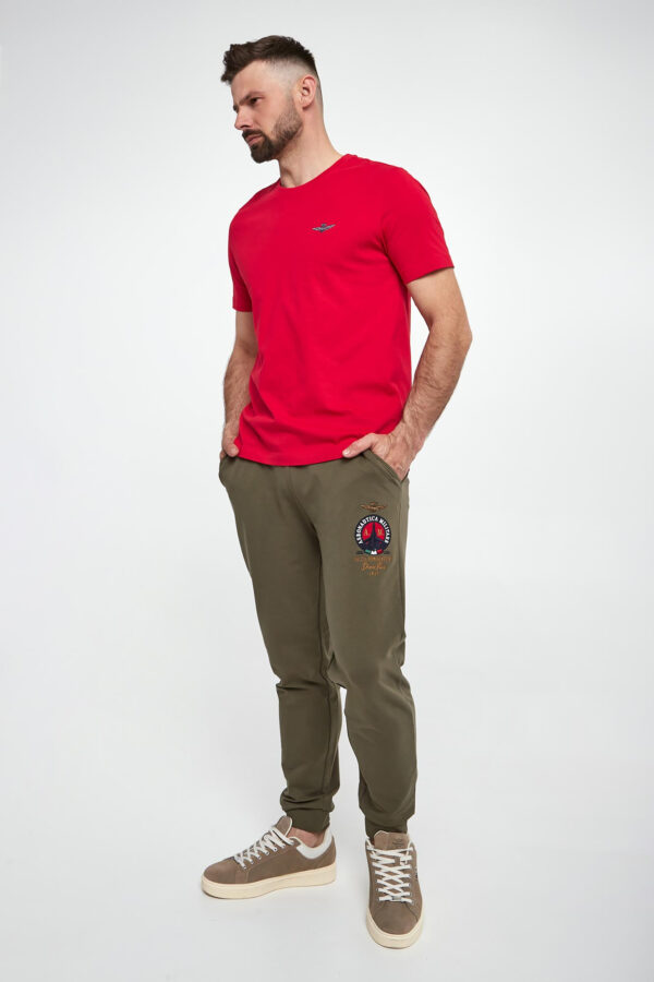T-shirt męski AERONAUTICA MILITARE