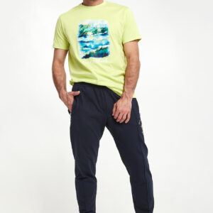 T-shirt męski PAUL&SHARK