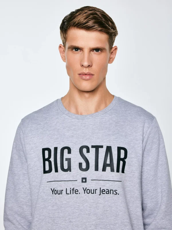 Bluza męska z nadrukiem szara Ecodort 901