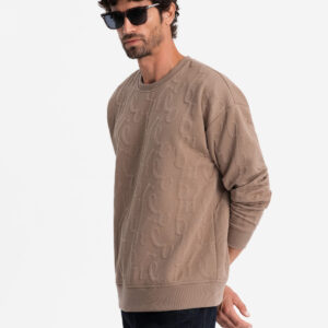 Bluza męska RELAXED FIT z tłoczonymi literami – brązowa V3