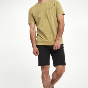 f5a8e7068516cd19ace55f6f5d543efb40cbf78d T-shirt męski AERONAUTICA MILITARE