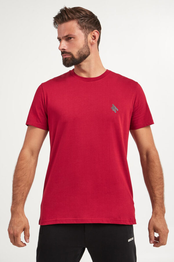 T-shirt męski LES HOMME