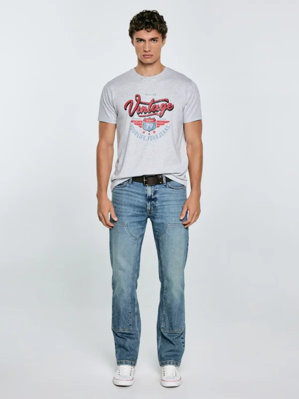 Koszulka męska z nadrukiem szara Merret 901