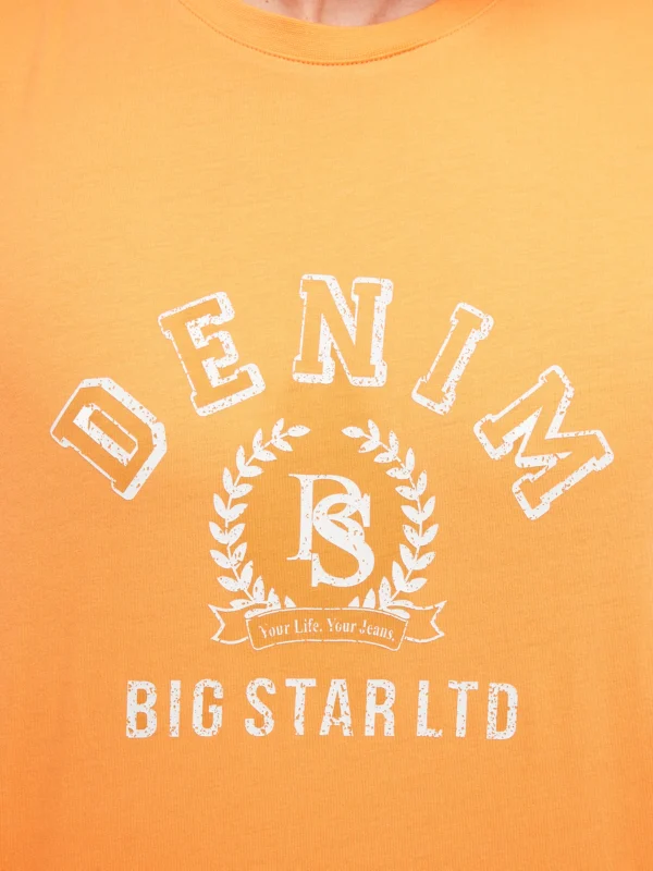 Koszulka męska z nadrukiem pomaraŅczowa Bester 703