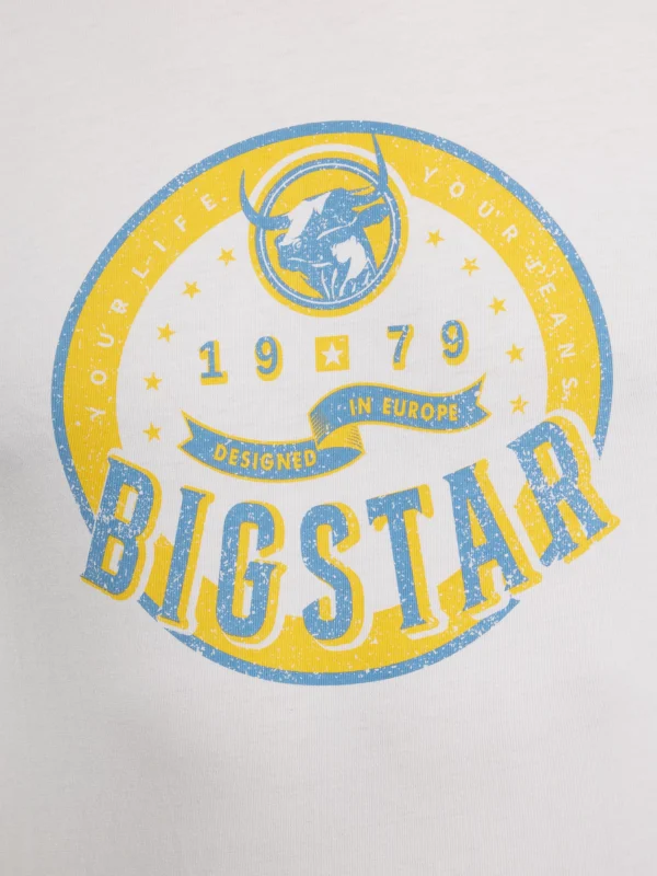 388bfccbc7e13c322a403021a1ad1a33ef8895b9 Koszulka męska z nadrukiem biała Stelian 100