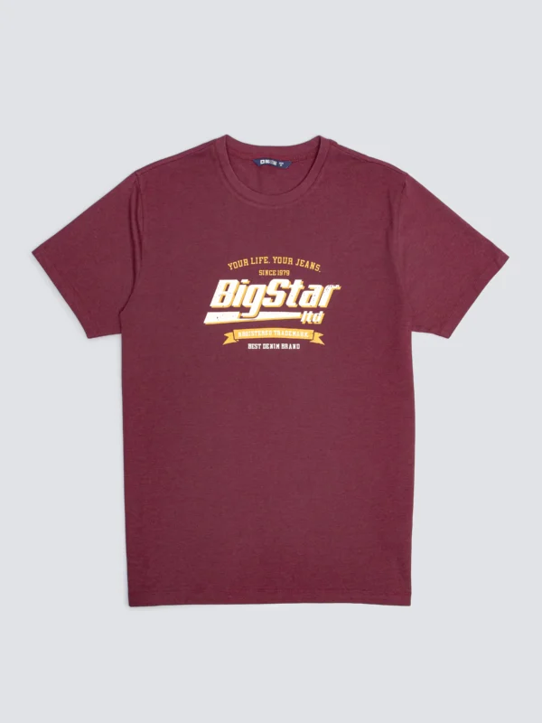 Koszulka męska z nadrukiem bordowa Briss 604