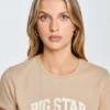 43826b246b703bd8e1bee05e1eba61933eb18961 Koszulka damska bawełniana z logo BIG STAR beżowa Ramila 805