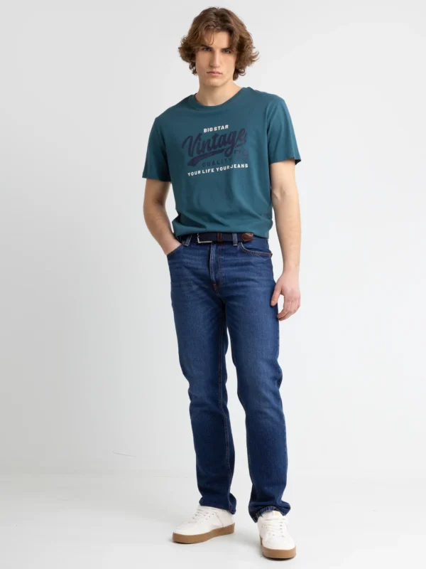 Koszulka męska z nadrukiem na piersi zielona Gralis 304