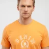 Koszulka męska z nadrukiem pomaraŅczowa Bester 703
