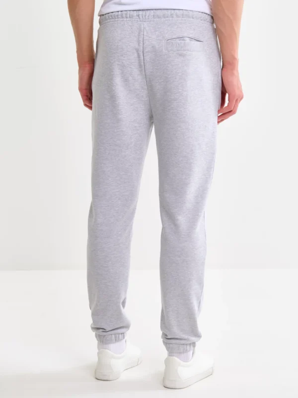 Spodnie męskie dresowe szare Brutus 901