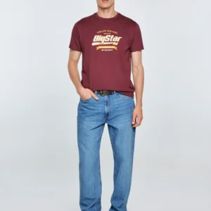 Koszulka męska z nadrukiem bordowa Briss 604