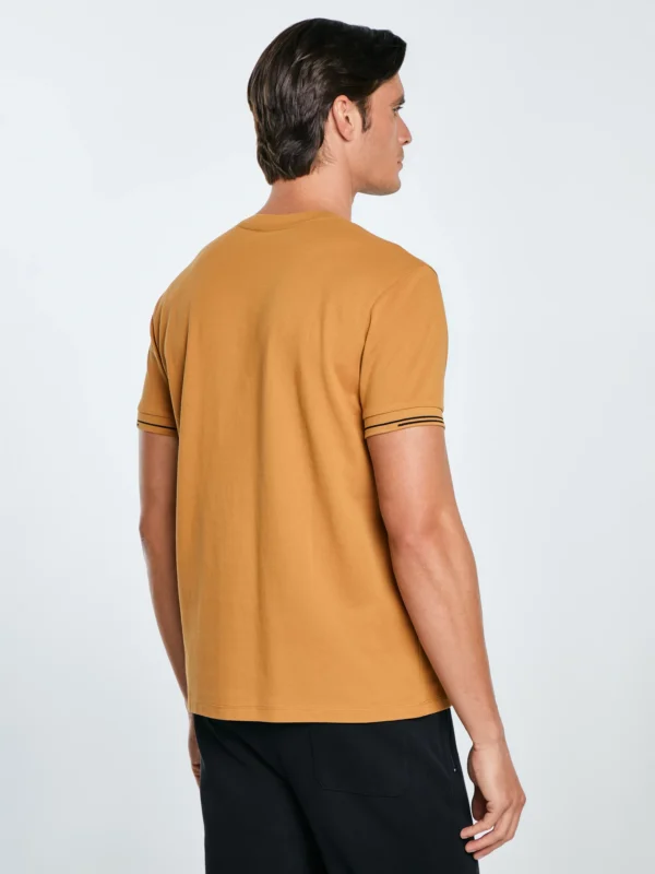 Koszulka męska bawełniana z logo BIG STAR brązowa Wlader 803