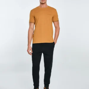 Koszulka męska bawełniana z logo BIG STAR brązowa Wlader 803