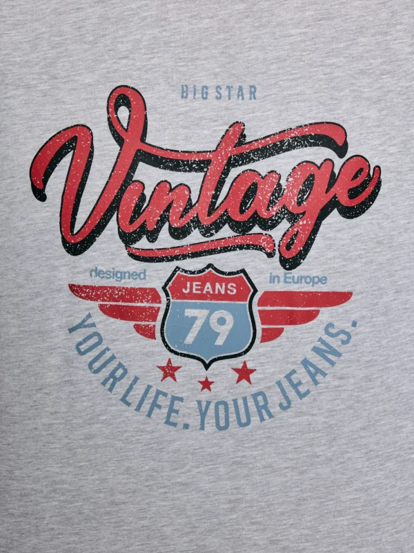 Koszulka męska z nadrukiem szara Merret 901