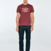 Koszulka męska z nadrukiem bordowa Teller 604