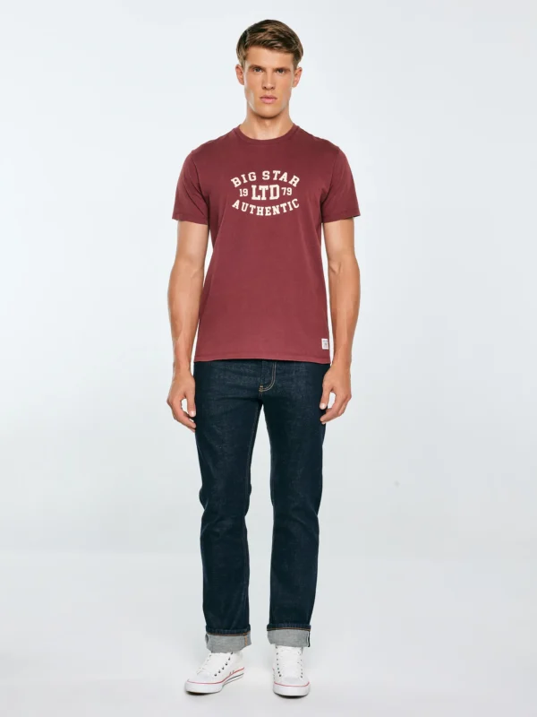 Koszulka męska z nadrukiem bordowa Teller 604