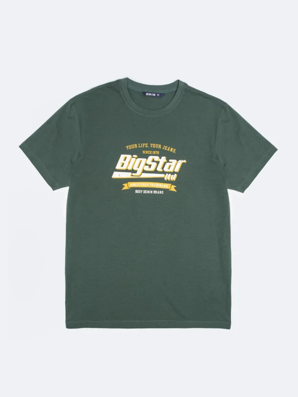 c8867d7498a3dd65122a4e73ed74a5d4a30a2b21 Koszulka męska z nadrukiem zielona Briss 304