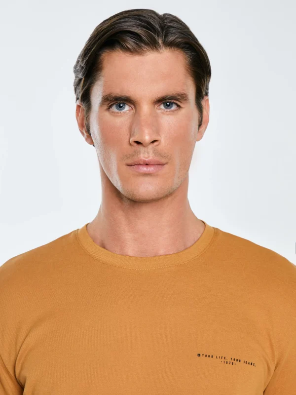 Koszulka męska bawełniana z logo BIG STAR brązowa Wlader 803