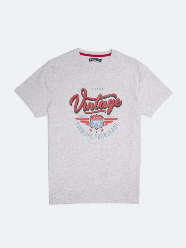 Koszulka męska z nadrukiem szara Merret 901