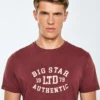 Koszulka męska z nadrukiem bordowa Teller 604