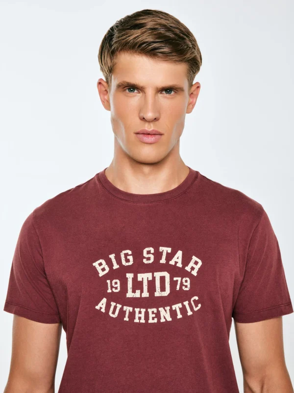 Koszulka męska z nadrukiem bordowa Teller 604