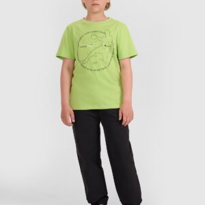 4F T-shirt regular z nadrukiem chłopięcy - zielony 140 (9-10 lat)