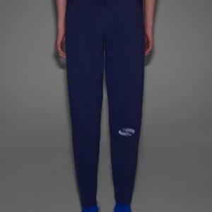 4F Spodnie do biegania w terenie szybkoschnące damskie - szare