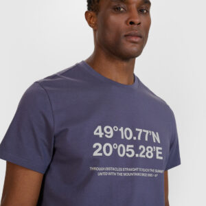 4F T-shirt regular z nadrukiem męski - szary