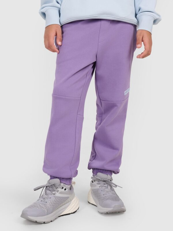 4F Spodnie dresowe joggery chłopięce - fioletowe 146 (10-11 lat)