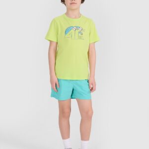 4F T-shirt regular z nadrukiem chłopięcy - zielony 146 (10-11 lat)