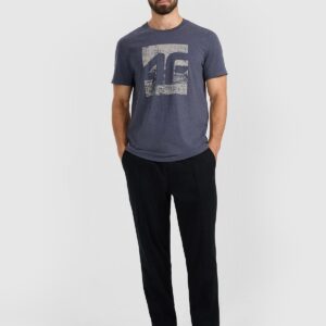 4F T-shirt regular z nadrukiem męski - szary