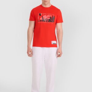 39dbfe398bb6b7ef63053ce8149ce2edc2195863 4F T-shirt regular z nadrukiem siatkarskim męski - czerwony