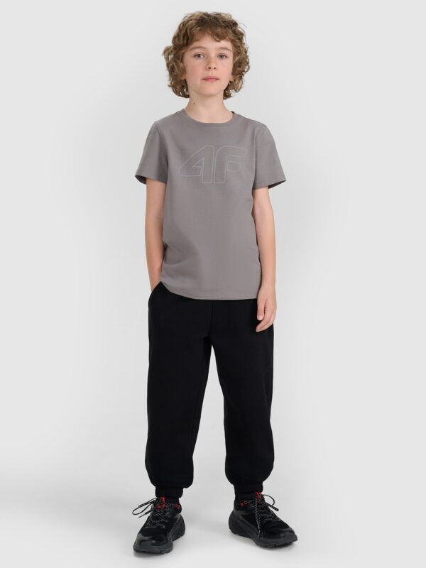 4F T-shirt regular z nadrukiem chłopięcy - szary 128 (7-8 lat)