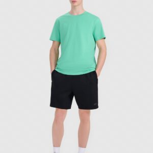 4F T-shirt regular z nadrukiem męski - zielony