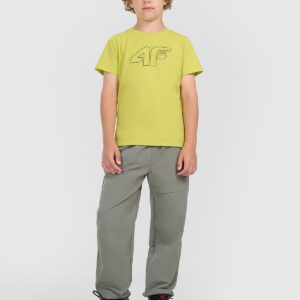 4F T-shirt regular z nadrukiem chłopięcy - czarny 122 (6-7 lat)