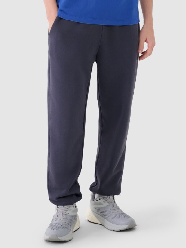 4F Spodnie dresowe joggery męskie - szare