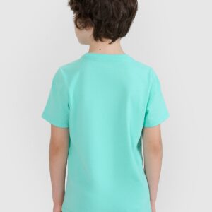 689aa5ef40294e749b37f0faa279af4f1bc42de2 4F T-shirt regular z nadrukiem chłopięcy - turkusowy 164 (13-14 lat)