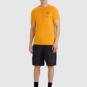 4F T-shirt regular z nadrukiem męski - pomarańczowy