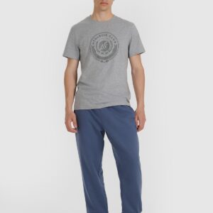 4F T-shirt regular z nadrukiem męski - szary