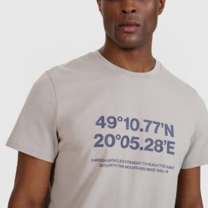 4F T-shirt regular z nadrukiem męski - szary