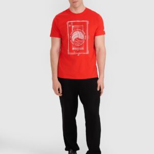 aad05ba37e96206ffda8dc54acd4a2dfcbe1bbb1 4F T-shirt regular z nadrukiem siatkarskim męski - czerwony