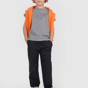 aaf54f6488959a45ff83ba8cbc38055a7e643faa 4F T-shirt regular z nadrukiem chłopięcy - szary 122 (6-7 lat)