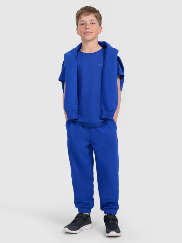 4F T-shirt regular gładki chłopięcy - niebieski 164 (13-14 lat)