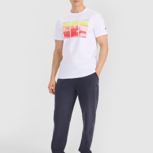 4F T-shirt regular z nadrukiem męski - biały