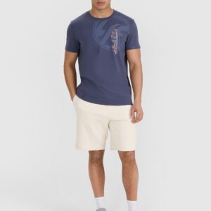 4F T-shirt regular z nadrukiem męski - szary