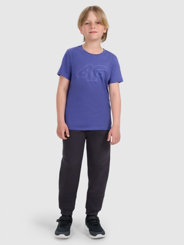 4F T-shirt regular z nadrukiem chłopięcy - niebieski 146 (10-11 lat)