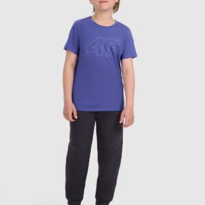 e715ed03c2db43ce5a0cf1b00de27c93cc483e8d 4F T-shirt regular z nadrukiem chłopięcy - niebieski 146 (10-11 lat)