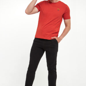 T-shirt męski z logo AERONAUTICA MILITARE